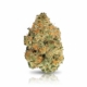 Platinum Oranges x 27,0% THC | Cannamedical