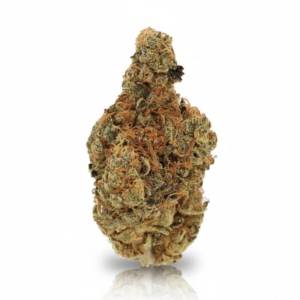 Ring of Sour x 19,0% THC | Cannamedical