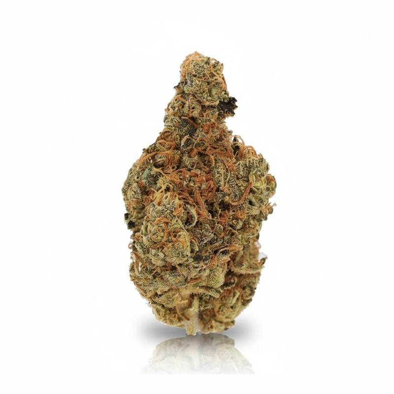 Ring of Sour x 19,0% THC | Cannamedical