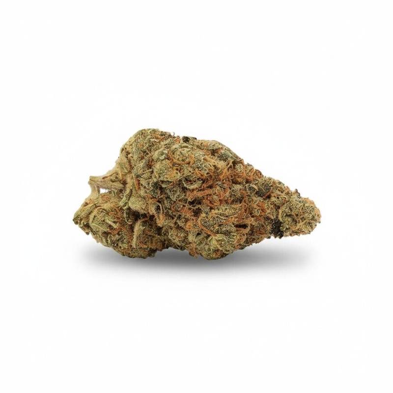 Ring of Sour x 19,0% THC | Cannamedical – Bild 2