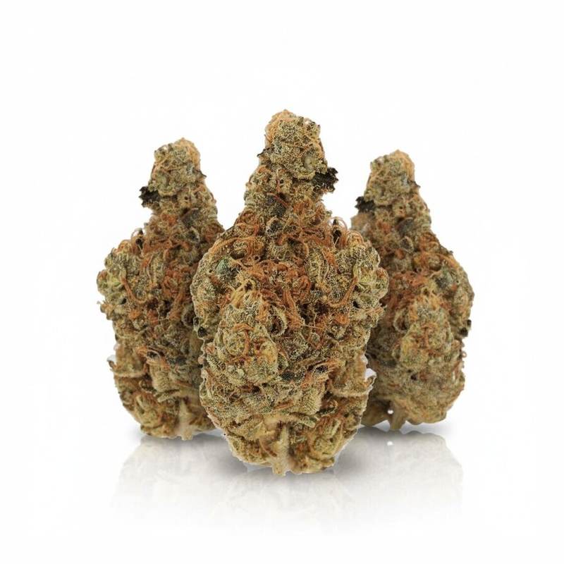 Ring of Sour x 19,0% THC | Cannamedical – Bild 3