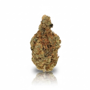 Ring of Sour x 24,0% THC | Cannamedical