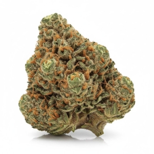 Solpina Magic x 28,0% THC | LUANA
