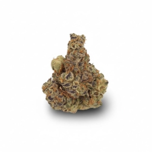 Sour Cherry Punch x 34,0% THC | Avaay