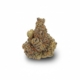 Sour Cherry Punch x 34,0% THC | Avaay