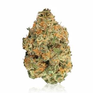 Sour Cherry Punch x 29,0% THC | Avaay