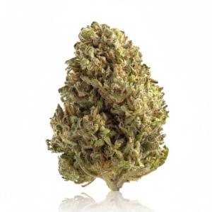 Space Cake x 31,0% THC | Cannamedical