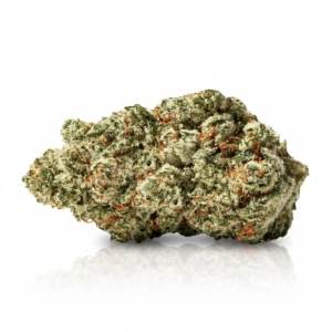 Space Rider x 24,0% THC | Zoiks