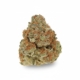 Strawberry Lemonade x 16,0% THC | Cannamedical