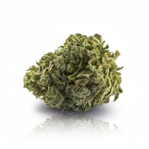 Sun County Kush x 25,0% THC | Cannamedical