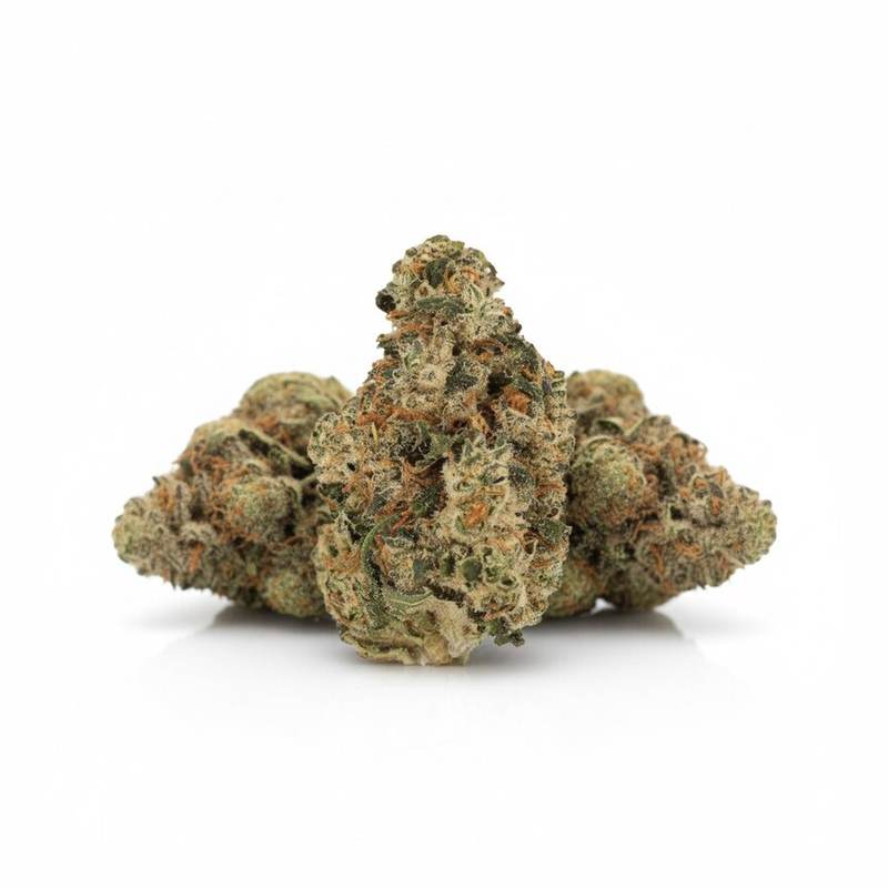 Super Lemon Haze x 24,0% THC | Cannamedical – Bild 3