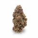 Tamarindo x 24,0% THC | ADREXpharma