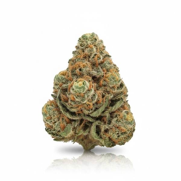 Tangie Chem