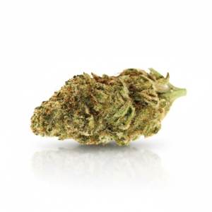 Tropic Thunder x 25,0% THC | Cantourage