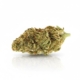 Tropic Thunder x 25,0% THC | Cantourage