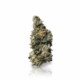 Tropical Blues x 26,0% THC | ADREXpharma