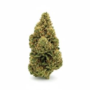 Tropicana Cookies x 25,0% THC | Demecan