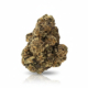 Wes’ Coast Kush x 35,0% THC | Remexian Pharma
