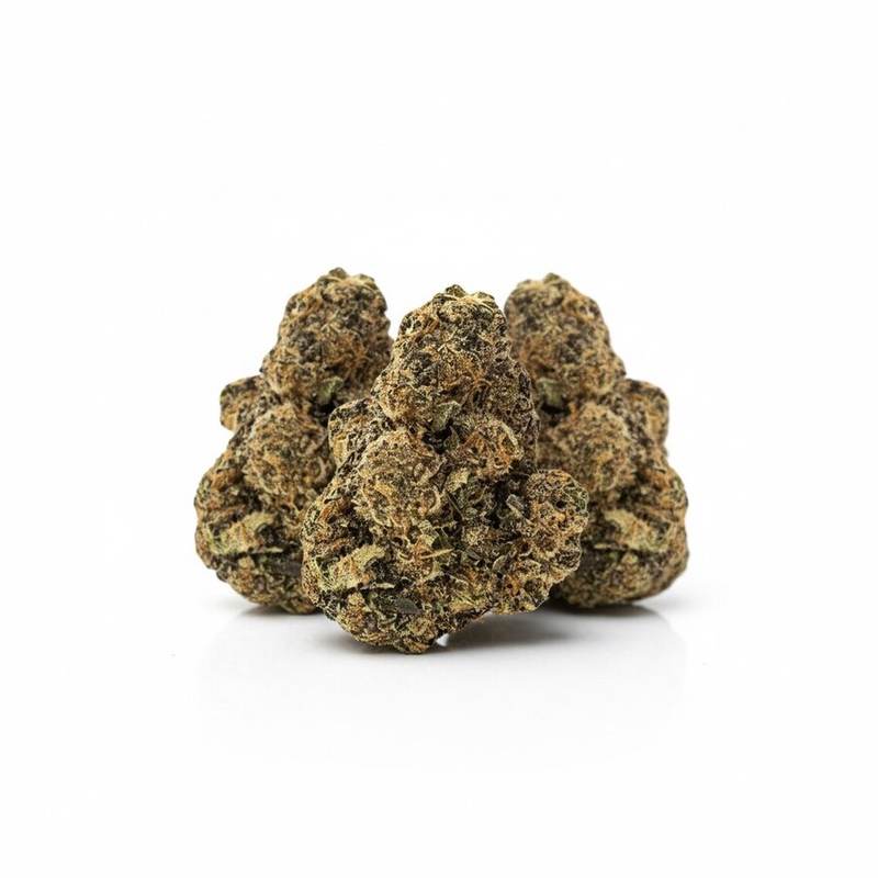 Wes’ Coast Kush x 35,0% THC | Remexian Pharma – Bild 3