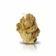 White Gorilla x 16,0% THC | Cannamedical