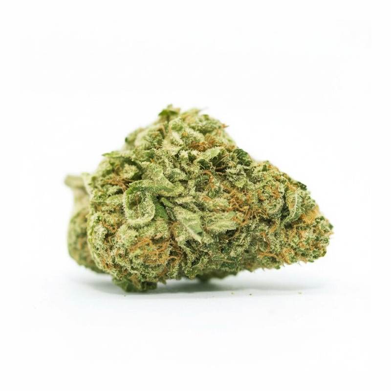 White Herer x 16,0% THC | LUANA