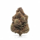 White Inversion x 26,0% THC | ADREXpharma