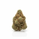 White Runtz x 24,0% THC | Budza