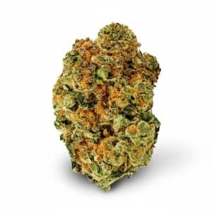 Whiteout x 22,0% THC | Four 20 Pharma