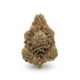 Zkittlez Mintz x 24,0% THC | Cannamedical