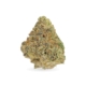 Royal Berry x 24,0% THC | Cannamedical