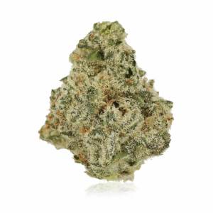 Organic Glue x 24,0% THC | Cannamedical