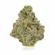 Organic Glue x 24,0% THC | Cannamedical
