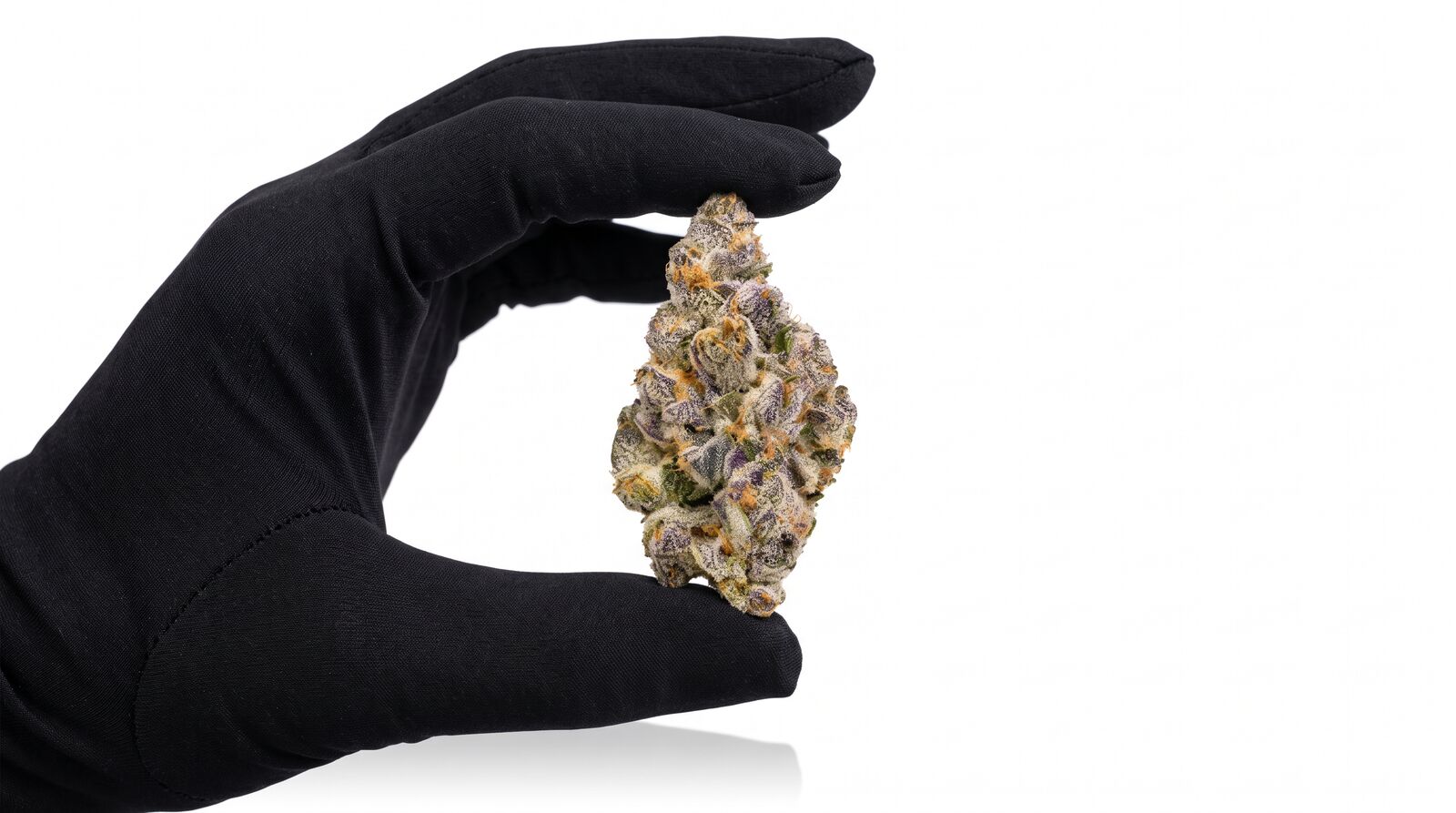 Velvet Peach Cannabisblüte von CannaZen in der Hand
