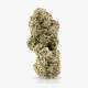 Siggis Maple Sour x 22,0% THC | Demecan