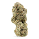 Siggis Maple Sour x 22,0% THC | Demecan