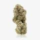 Siggis Maple Sour x 22,0% THC | Demecan