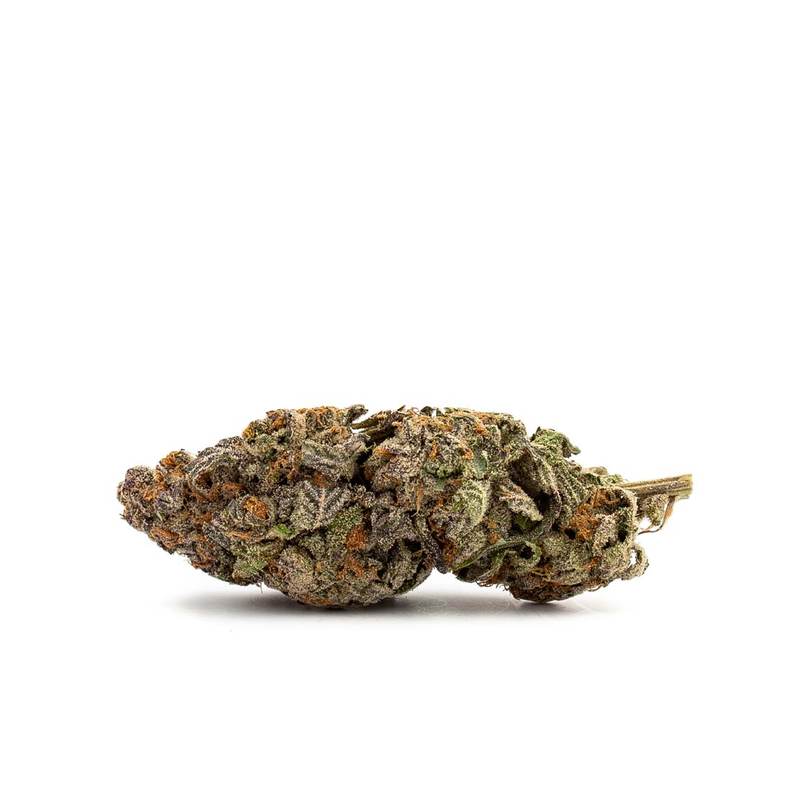 Blue Lobster Sorte: THC-Gehalt, Wirkung & Aroma